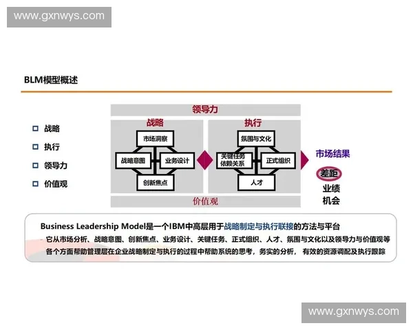 全面提升组织执行能力的高效实践路径探索与持续优化策略研究框架