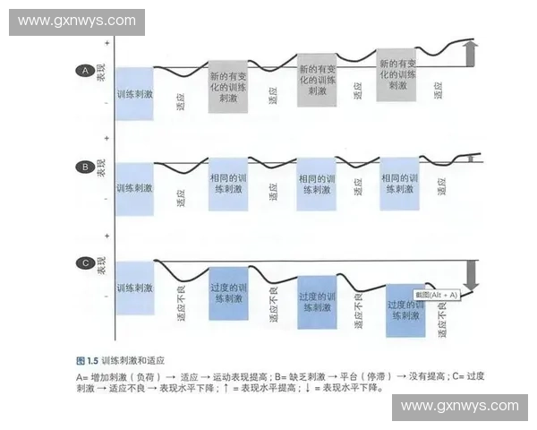 基于训练负荷的运动表现优化与个体化调控策略研究